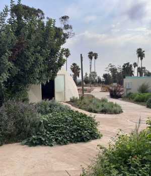 WhatsApp Image 2025-11-05 at 12.59.40 (4)